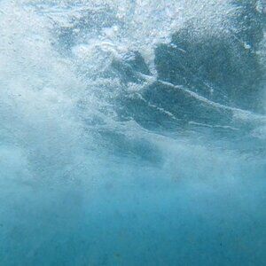 Meet your Posher, Pura